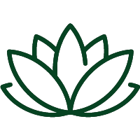Yoga Zone